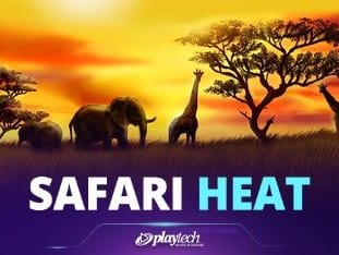 Safari Heat screenshot